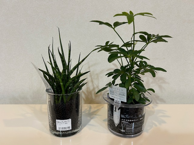 4a5cf0834586447f8a7df13481fa4cbe